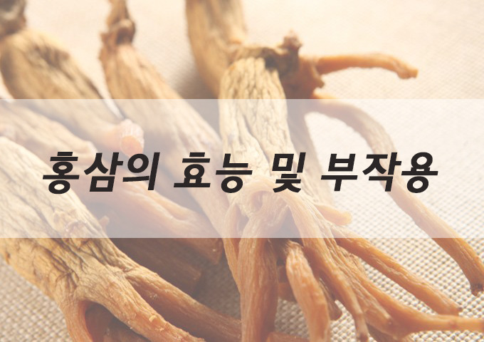 홍삼 정력 효능