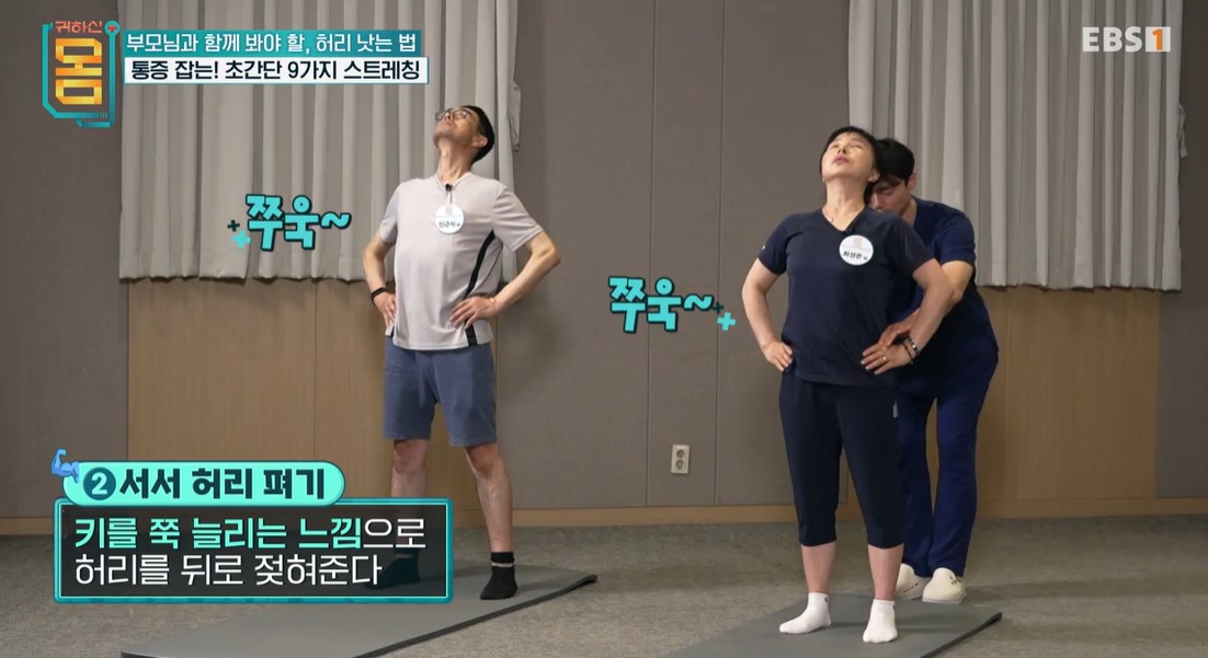 허리통증완화 스트레칭