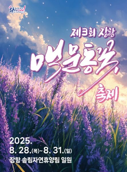 장항 맥문동 꽃 축제 관련 이미지