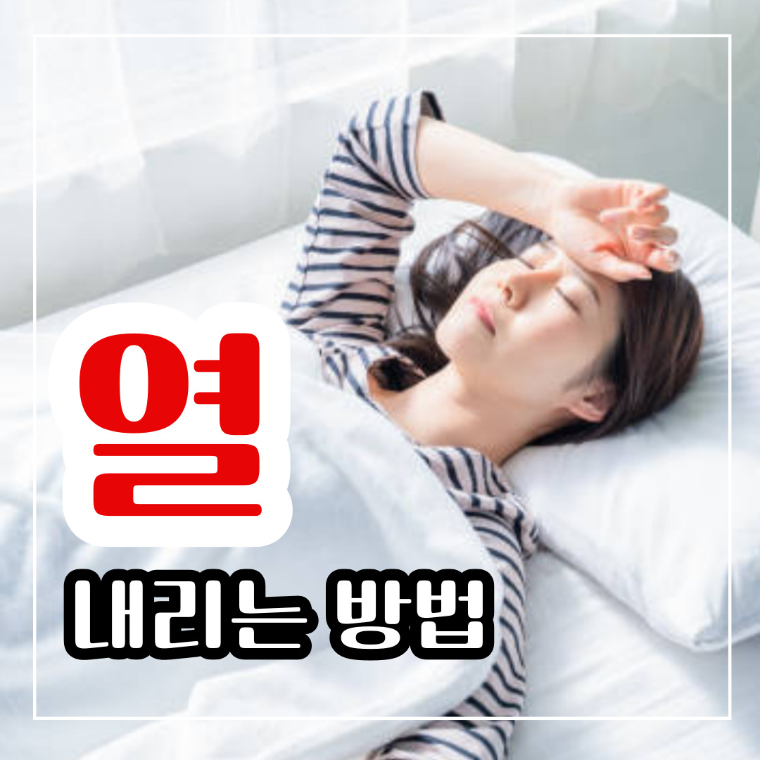 성인 열 내리는 방법 6가지