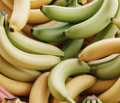 바나나 보관법