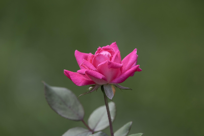 생활 속 숨은 에너지 과학