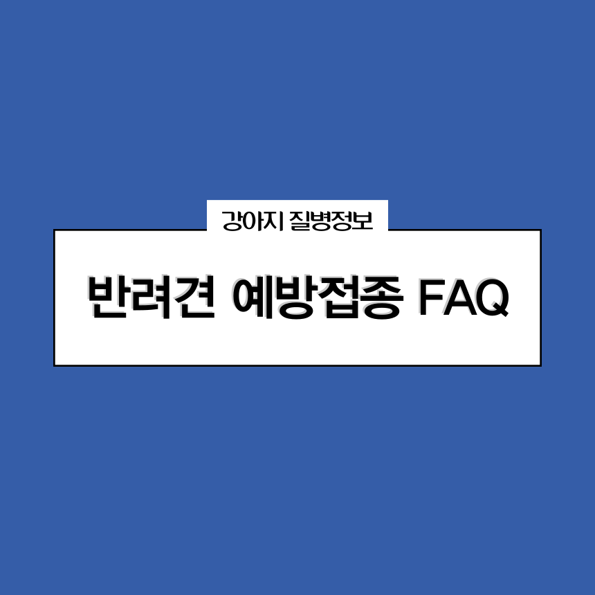 반려견 예방접종 FAQ