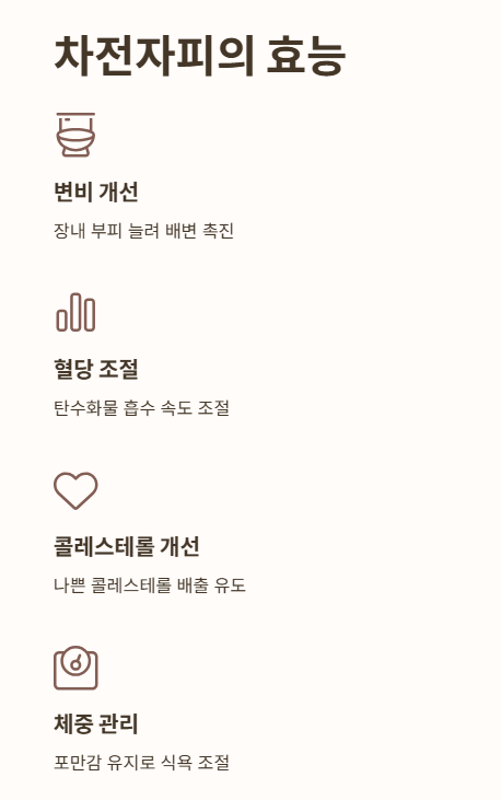 차전자피의 효능