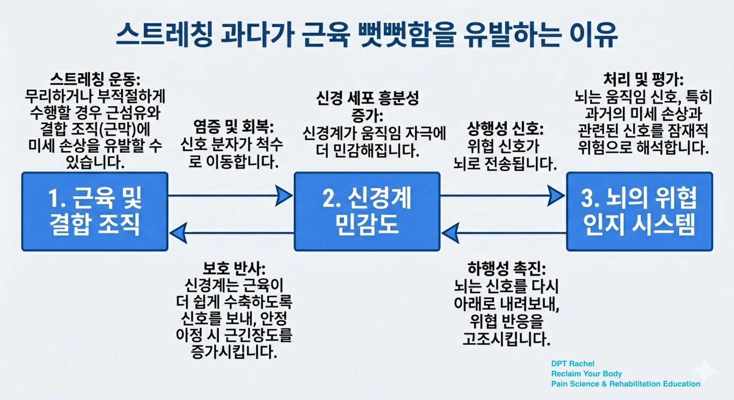 스트레칭을 많이 할수록 뻣뻣해지는 이유를 설명하는 신경계 기반 개념도