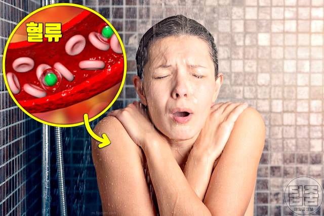 찬물 샤워 효과 혈액순환