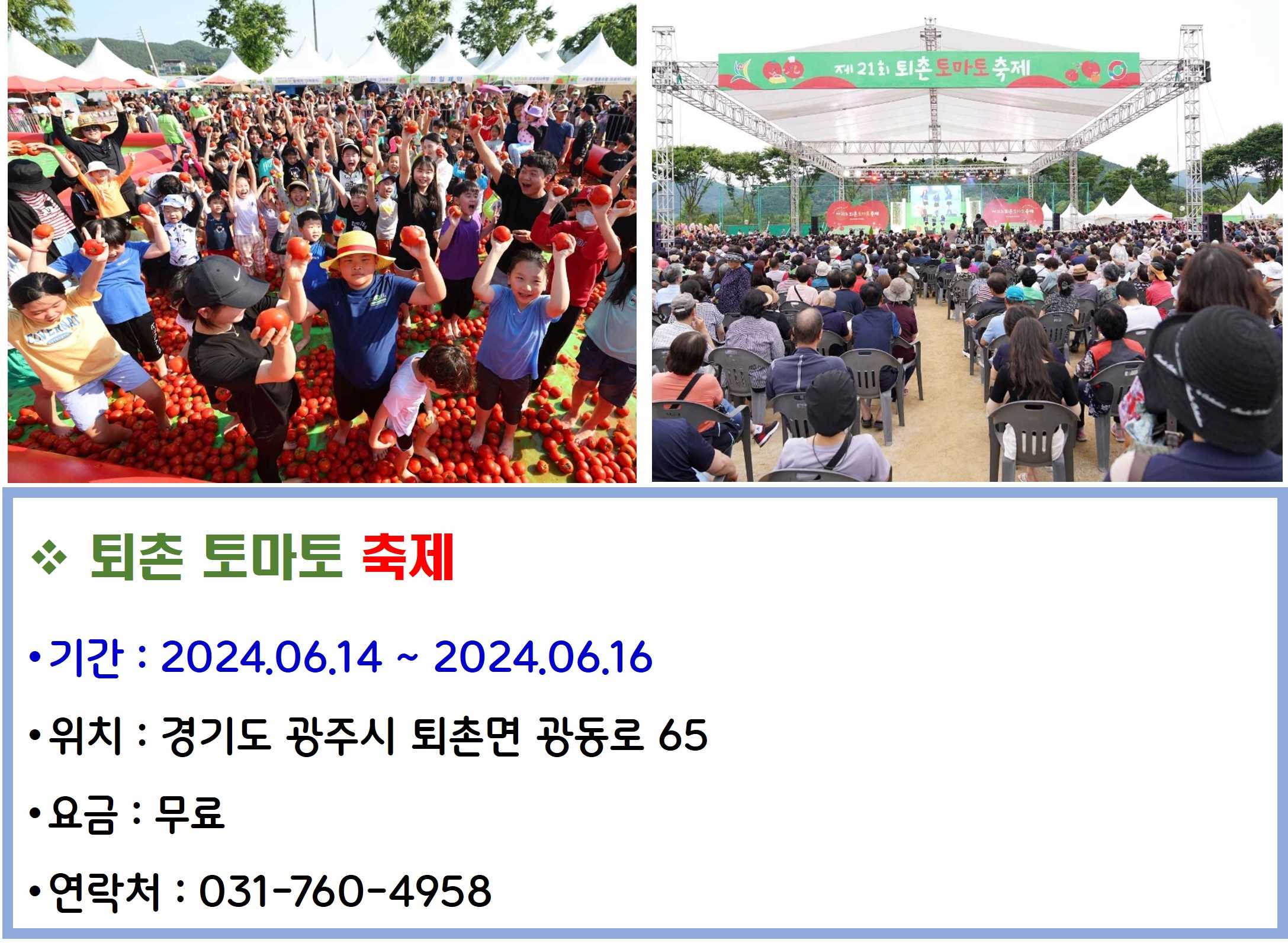 퇴촌 토마토 축제