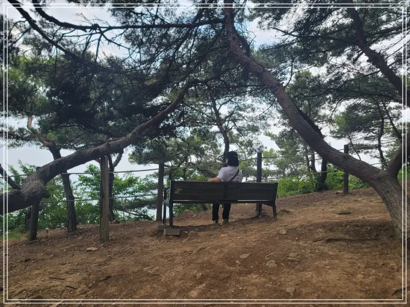 소무의도-둘레길20250714_123340