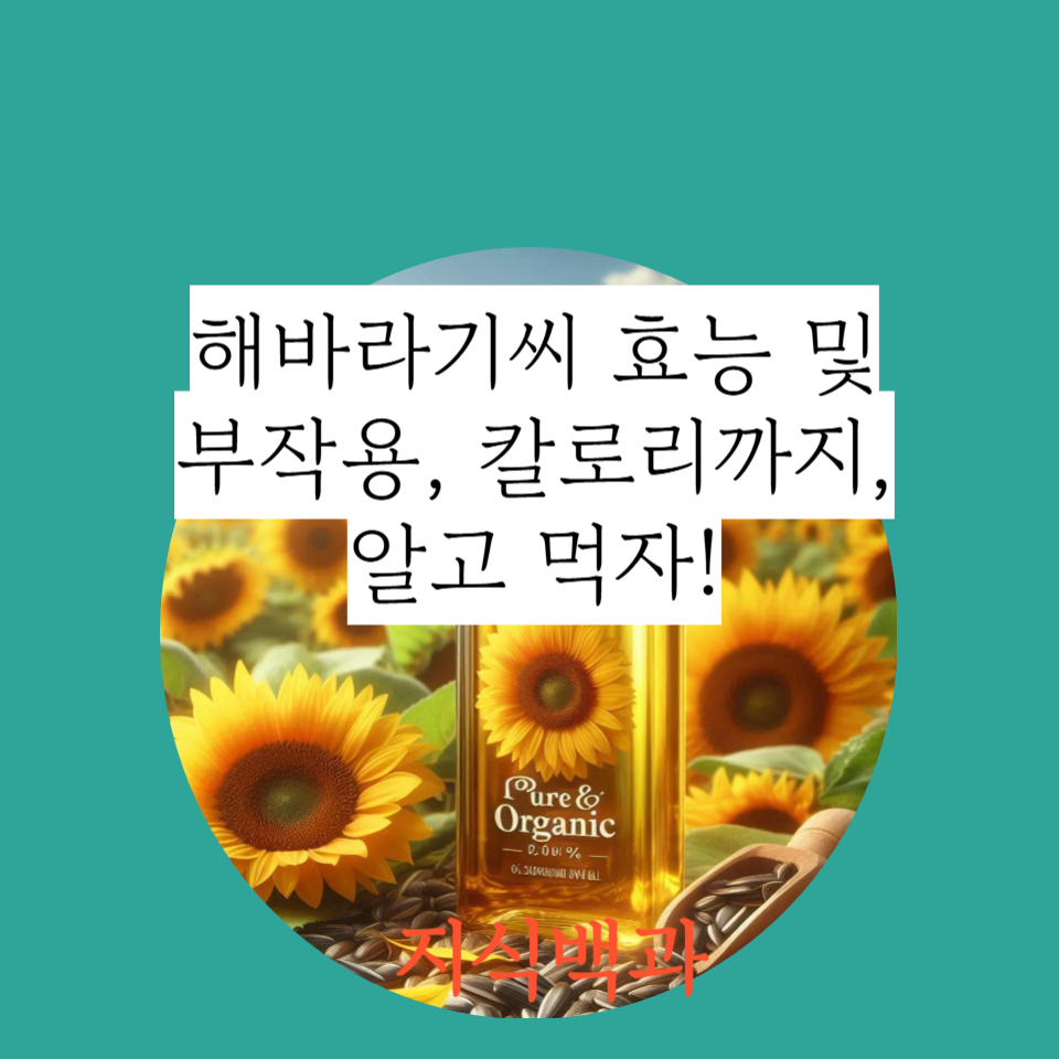 해바라기씨 효능 및 부작용, 칼로리까지, 알고 먹자!