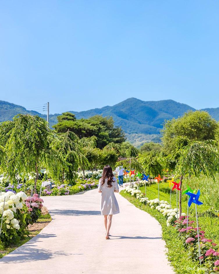 수국명소