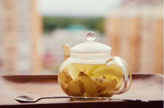 생강의 효능과 섭취방법&amp;#44; 부작용과 주의사항