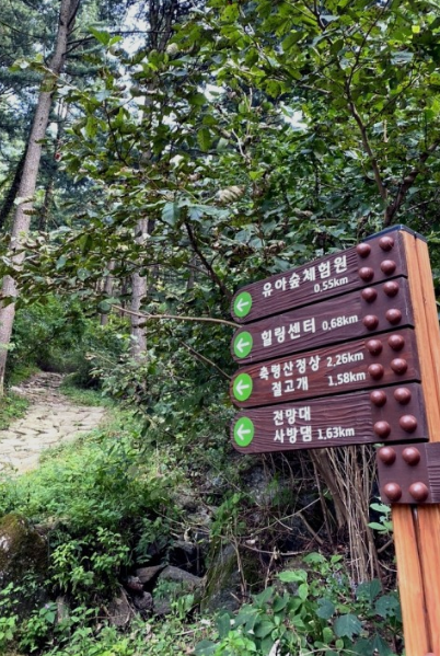잣향기_푸른숲4