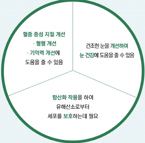 진정주 오메가3