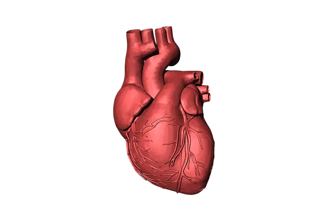 고지혈증 관련 사진15