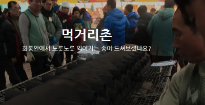 평창 송어축제