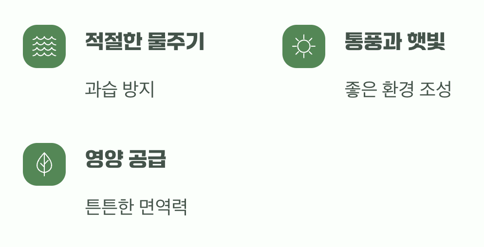 건강한 나무는 스스로를 지킨다