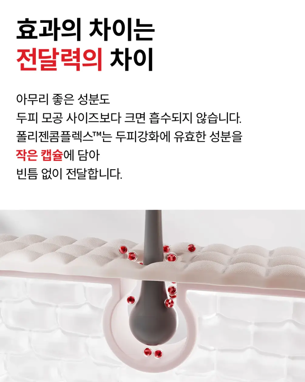 사진14