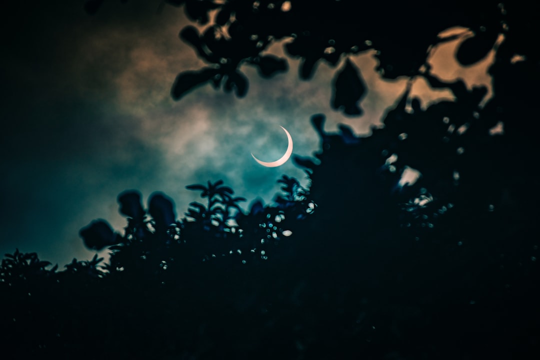 'Half-moon'