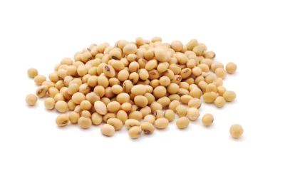 여성 갱년기에 좋은 식품