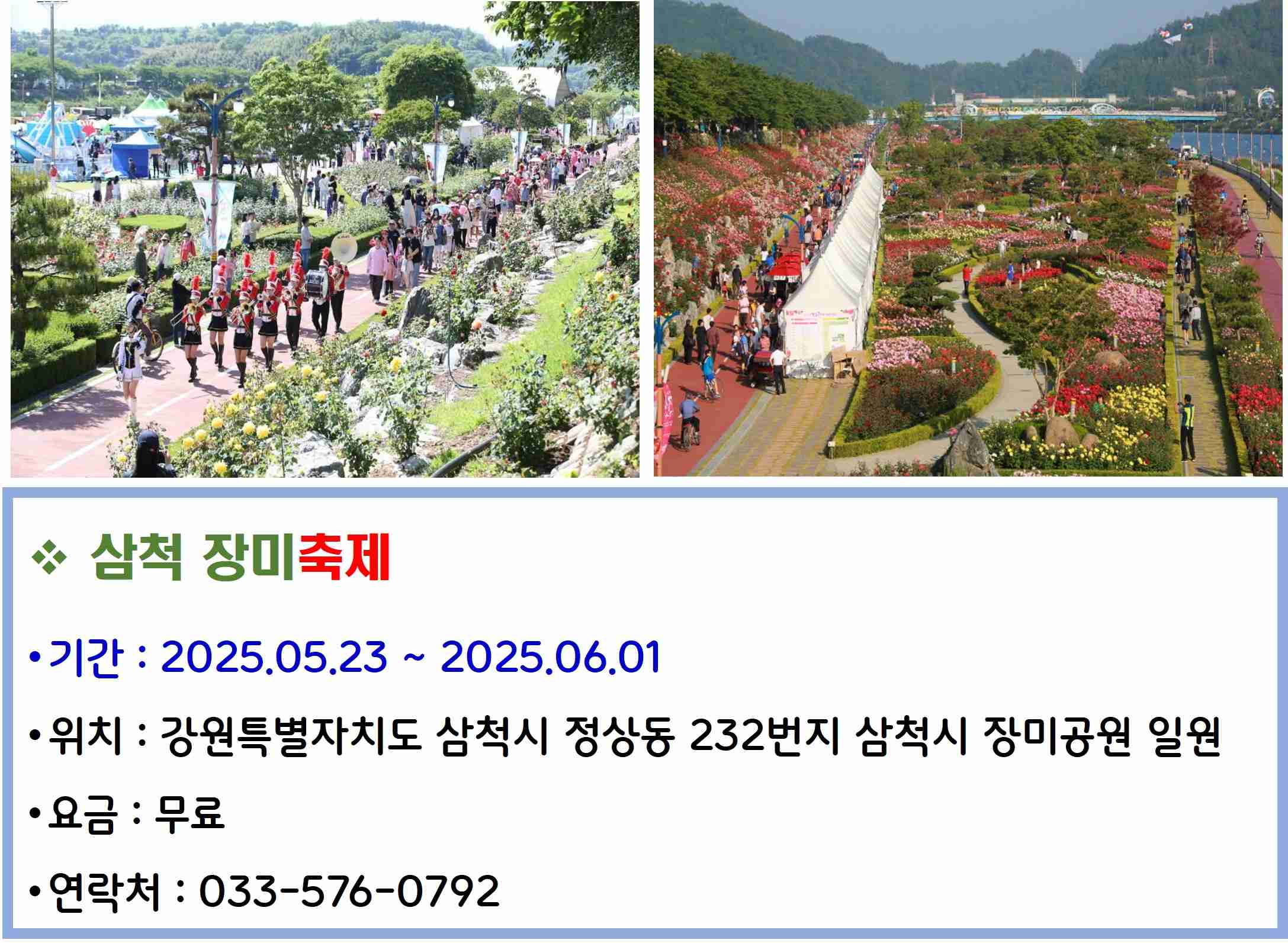 삼척 장미축제
