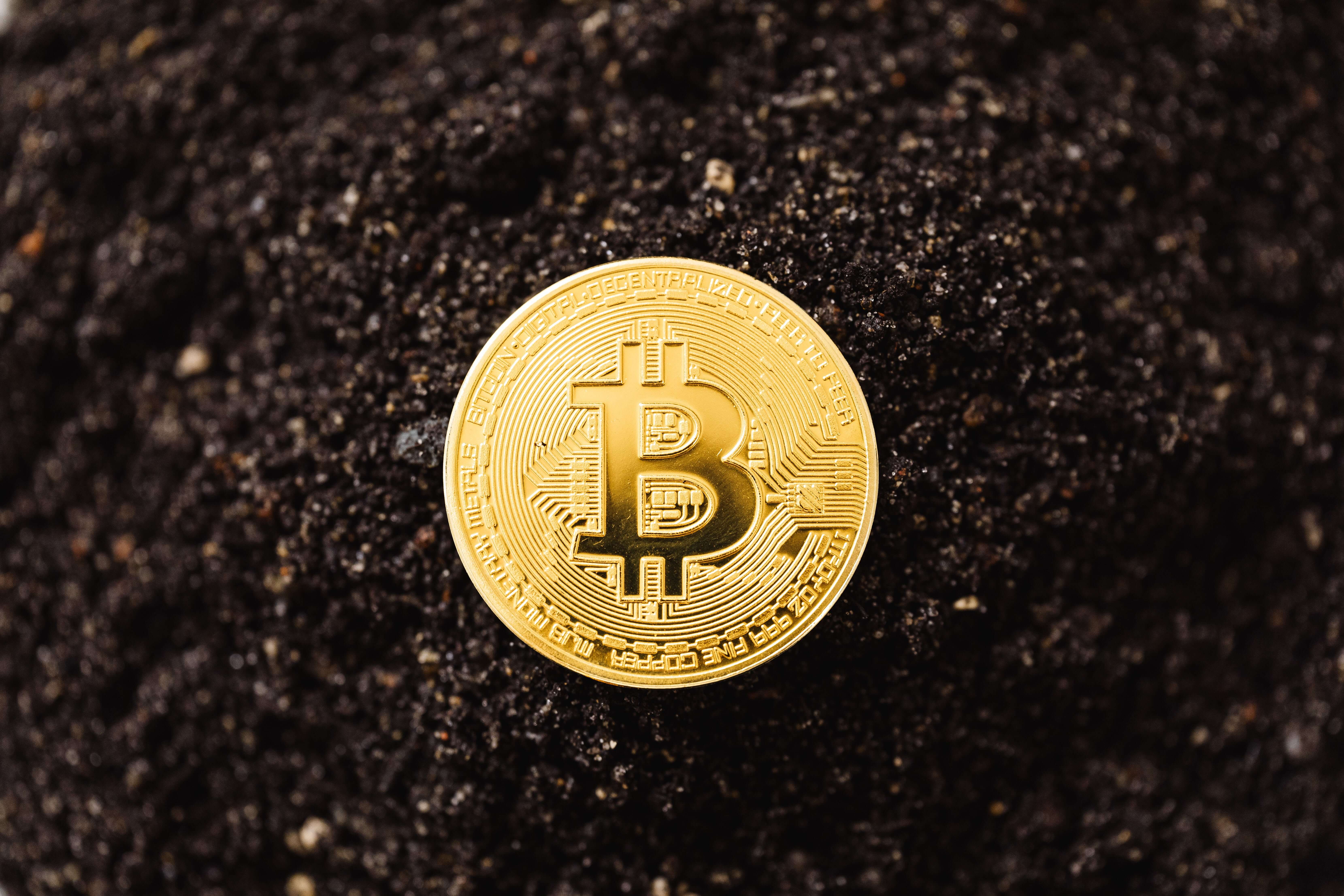비트코인 etf