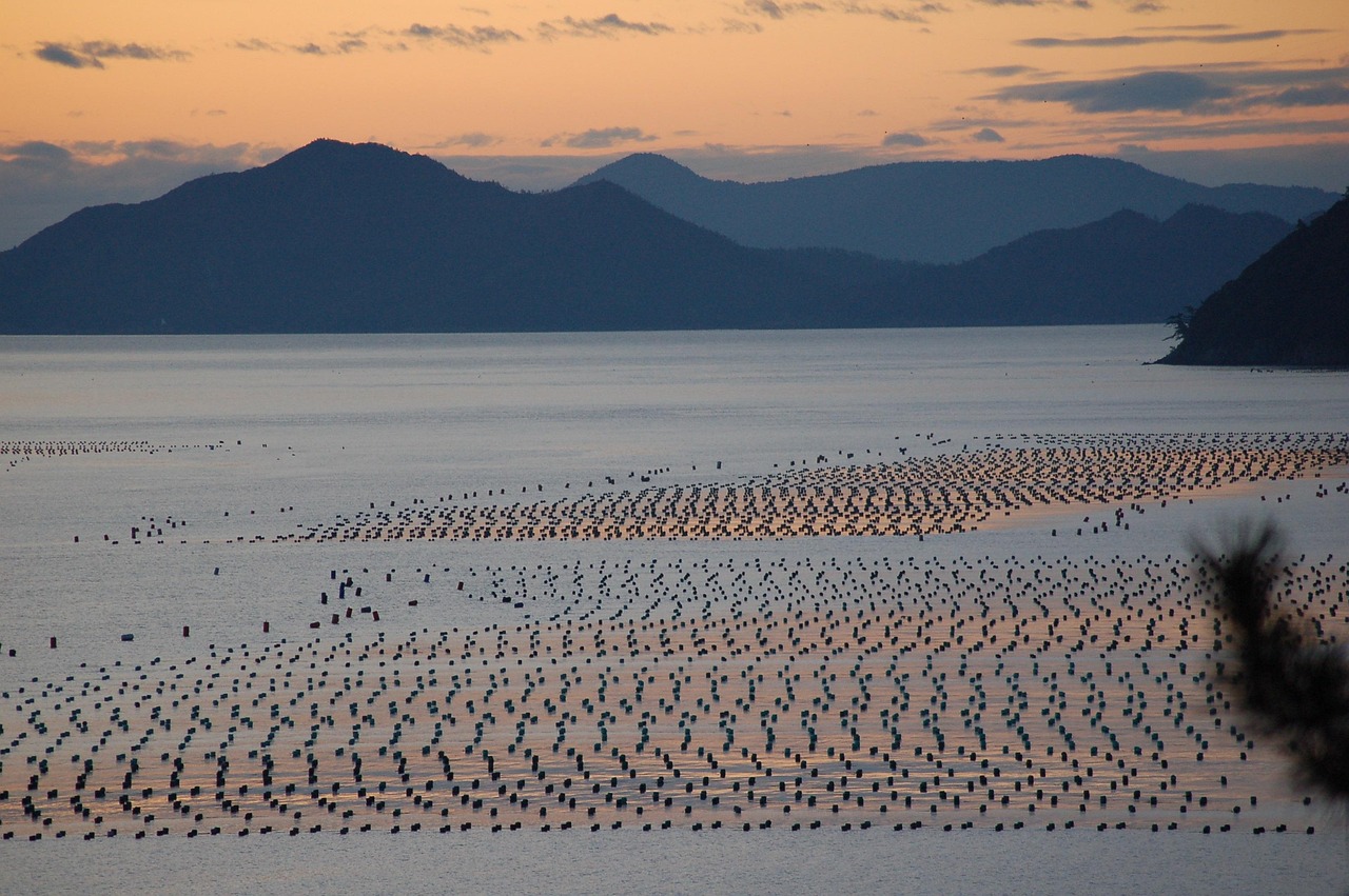 땅끝마을 효도여행 추천 관련 사진