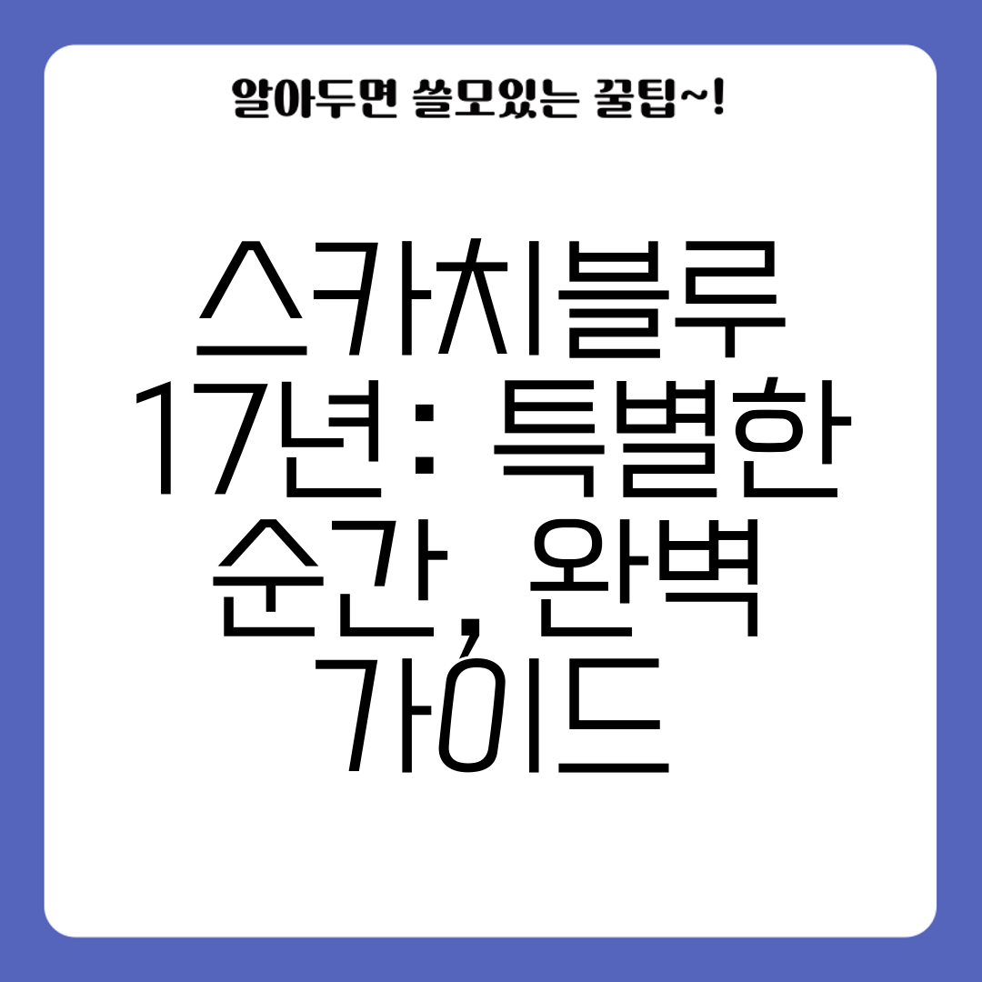 스카치블루 17년 특별한 순간, 완벽 가이드
