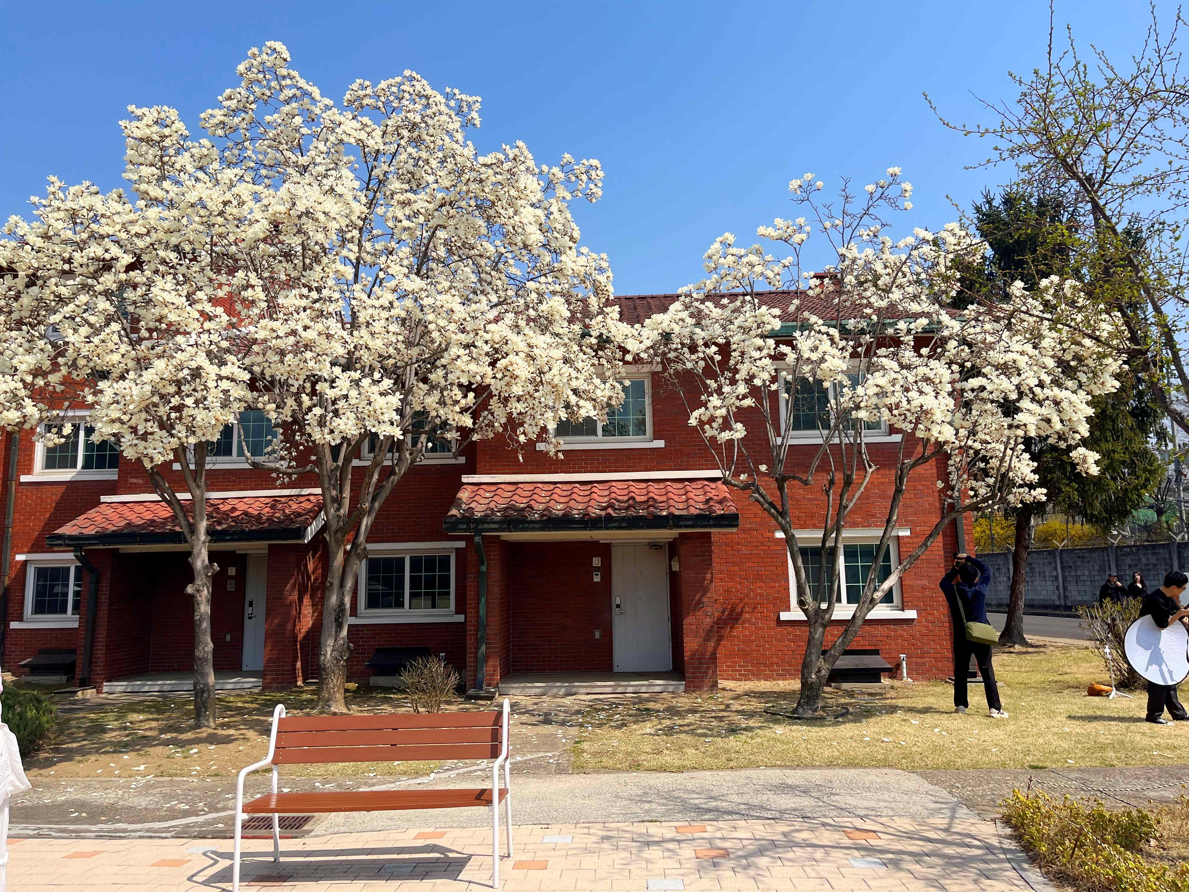 용산공원 미군기지