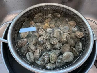 바지락 해감시키는법 깨끗하게 해감하는 방법_18