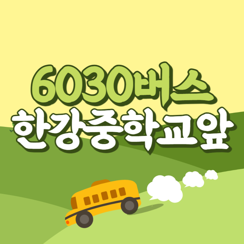 한강중학교앞에서 인천공항 리무진 공항버스(6030번) 썸네일
