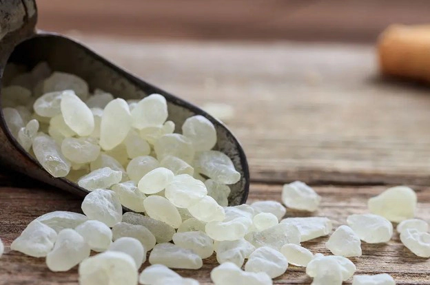 매스틱검 효능 부작용 성분 복용법 추천 (자로우 매스틱검)