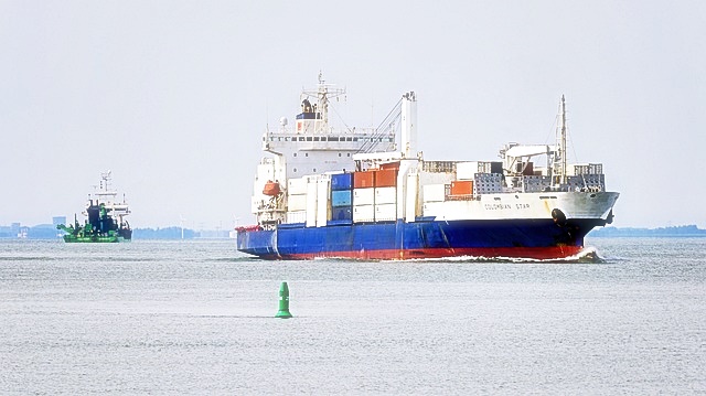DHL 배송 조회 방법