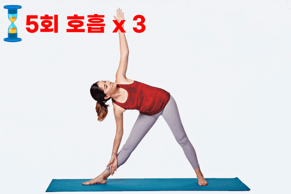 뒷구리살빼기 운동,다이어트 팁,팁줌