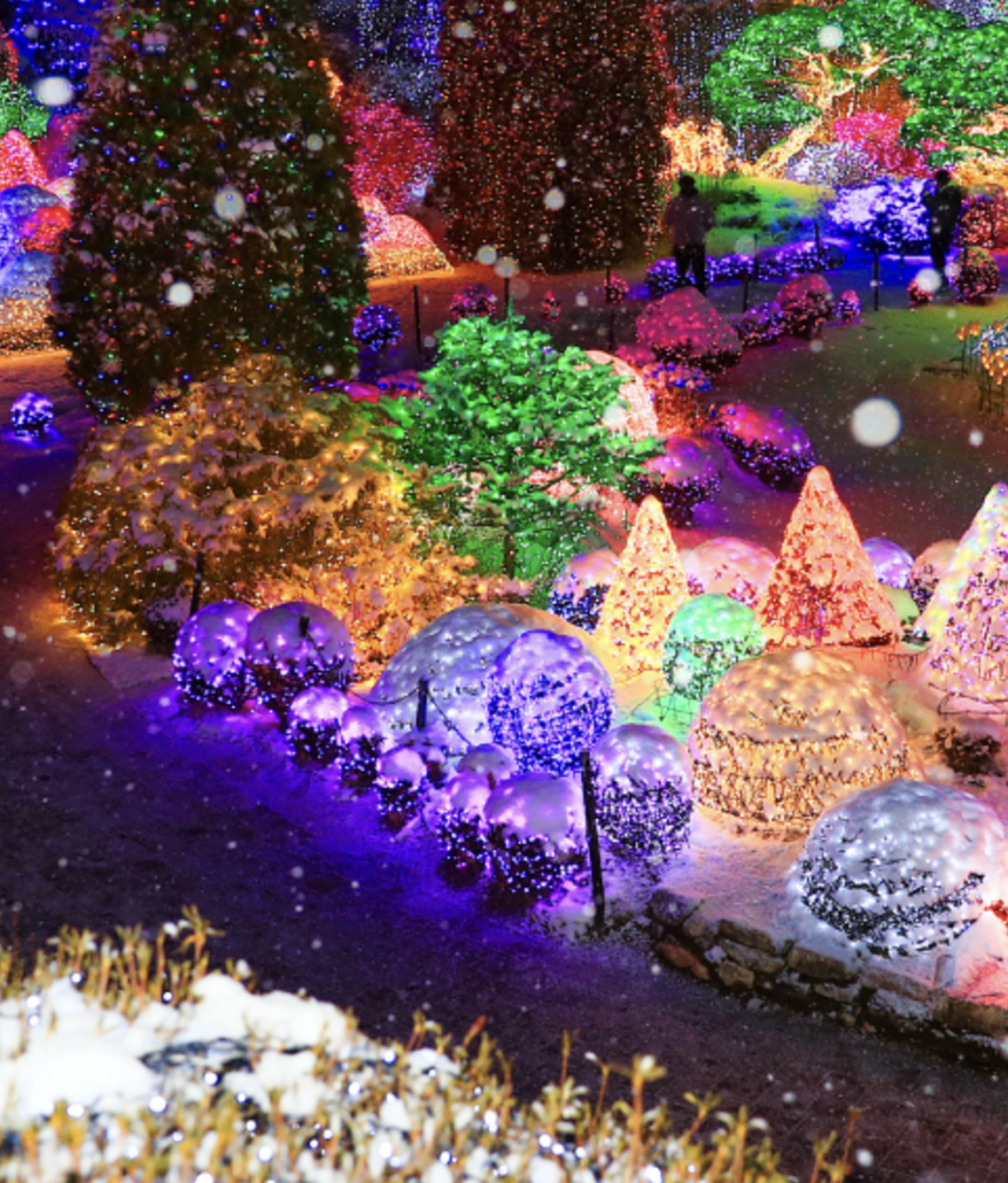 아침고요수목원의 사계절