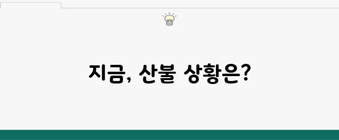 산불실시간 현황 한눈에 정리하기