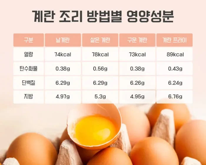 계란 성분 이미지