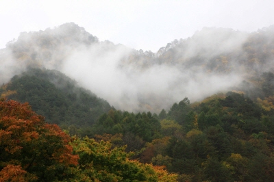 설악산-케이블카-사전-예약-불가!-현장-구매-방법&amp;#44;-요금&amp;#44;-운영시간