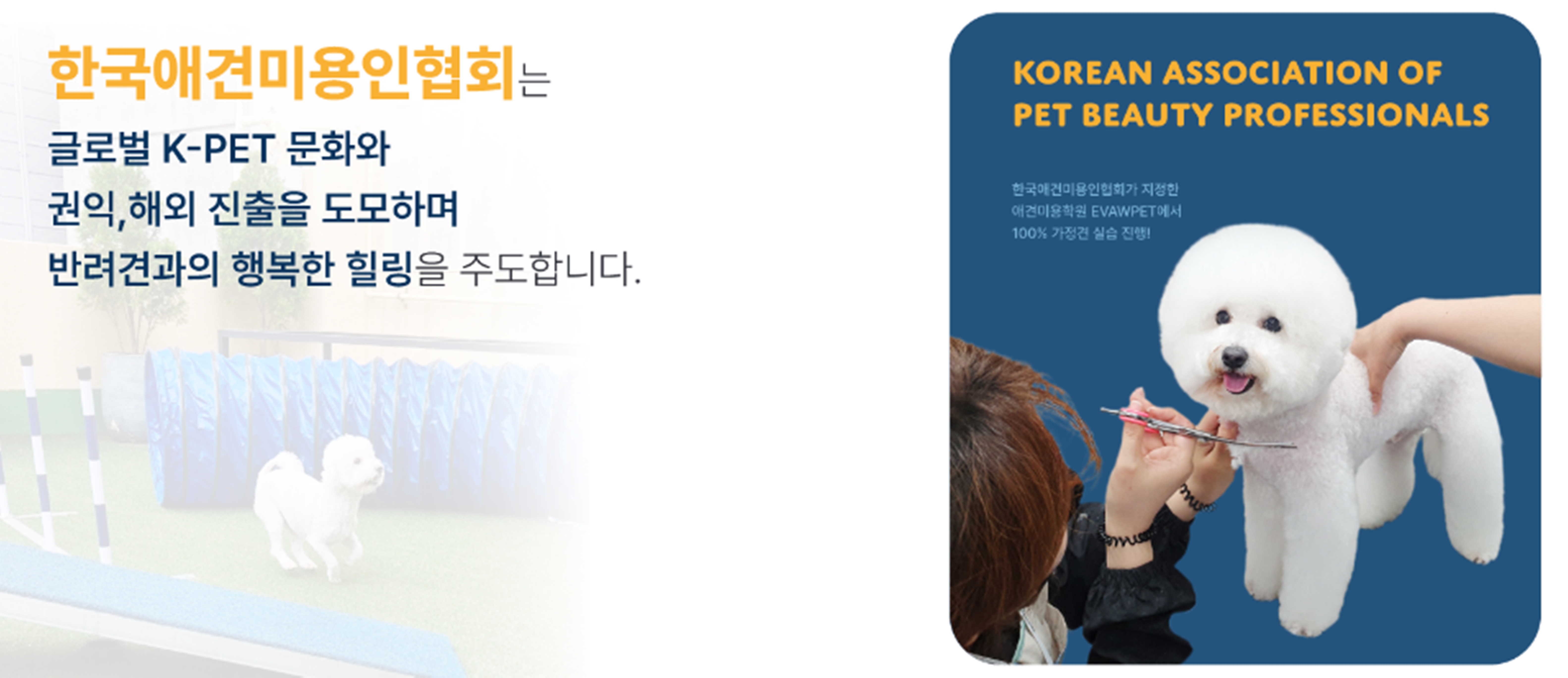 KAPP자격증