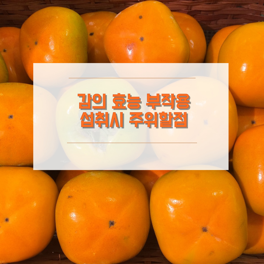 감의 효능 부작용