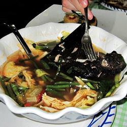 피지 Lutukina 레스토랑의 삶은 박쥐