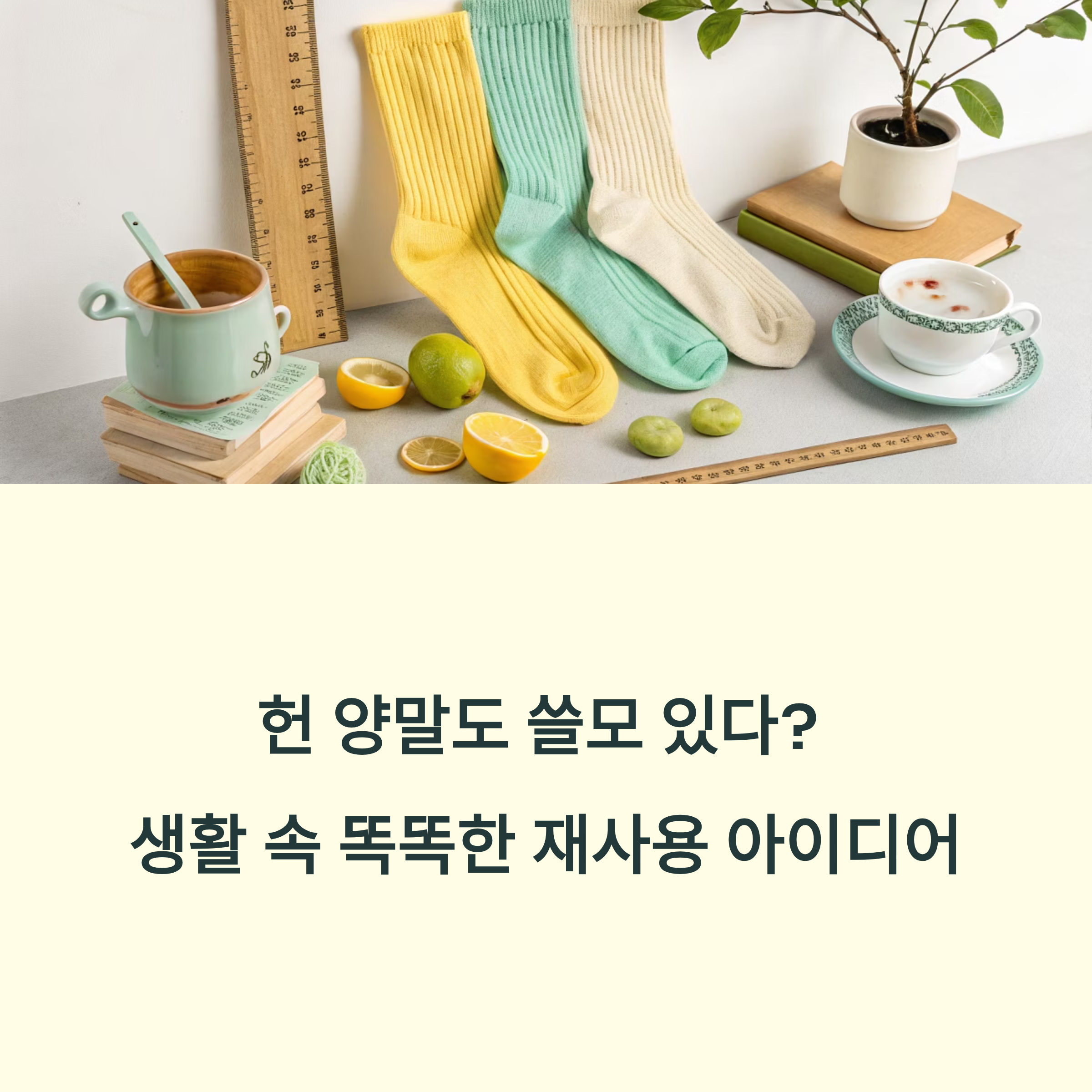 생활팁)버리긴 아깝고 쓰긴 애매한 양말, 이렇게 재사용해보세요!