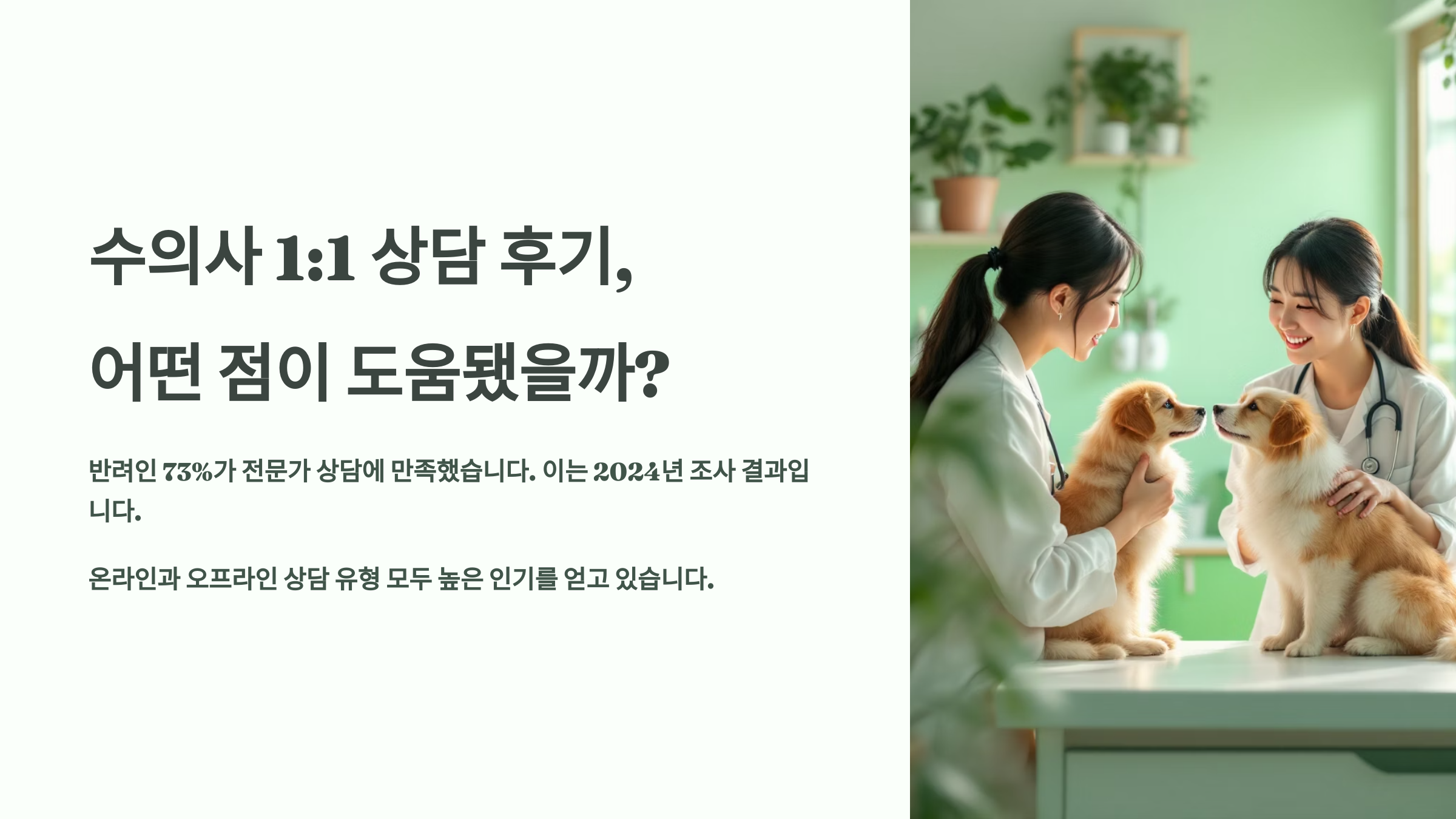 수의사 1:1 상담 후기, 어떤 점이 도움됐을까?