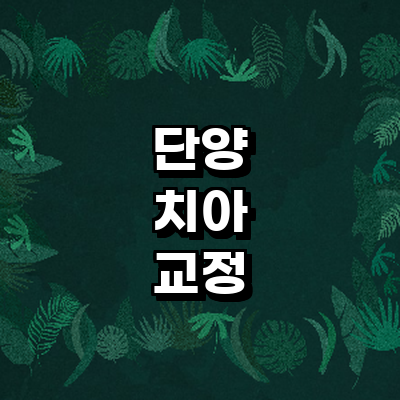단양군 교정 치과