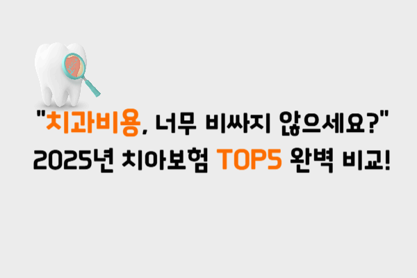2025 치아보험 비교 TOP 5