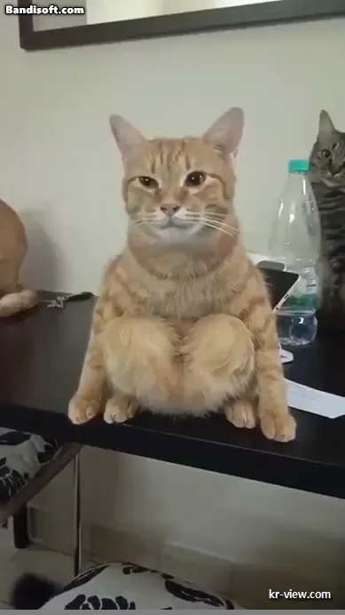 img.webp?credential=yqXZFxpELC7KVnFOS48ylbz2pIh7yKj8&expires=1767193199&allow_ip=&allow_referer=&signature=mNhvFbvFNSmtL60atD7pJwgDlHk%3D