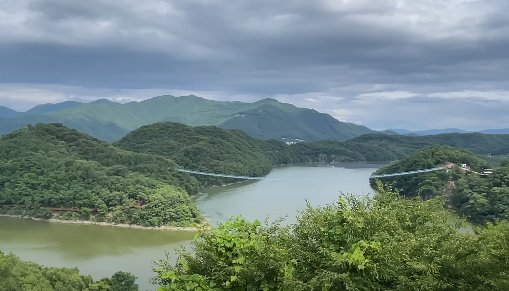 농암정에서 볼 수 있는 수변의 주변 경관