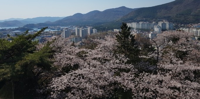 제황산 공원