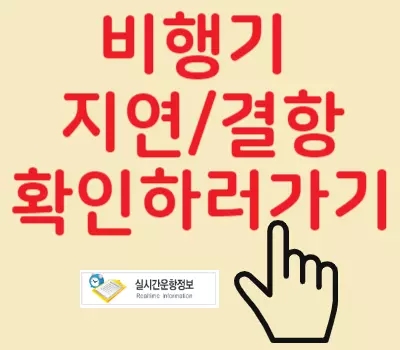 결항확인