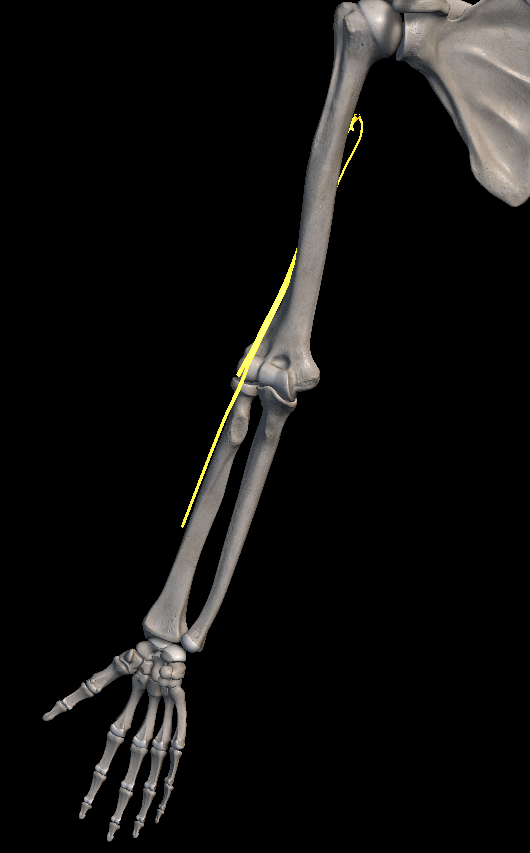 엄지 손가락 저림 증상 치료법