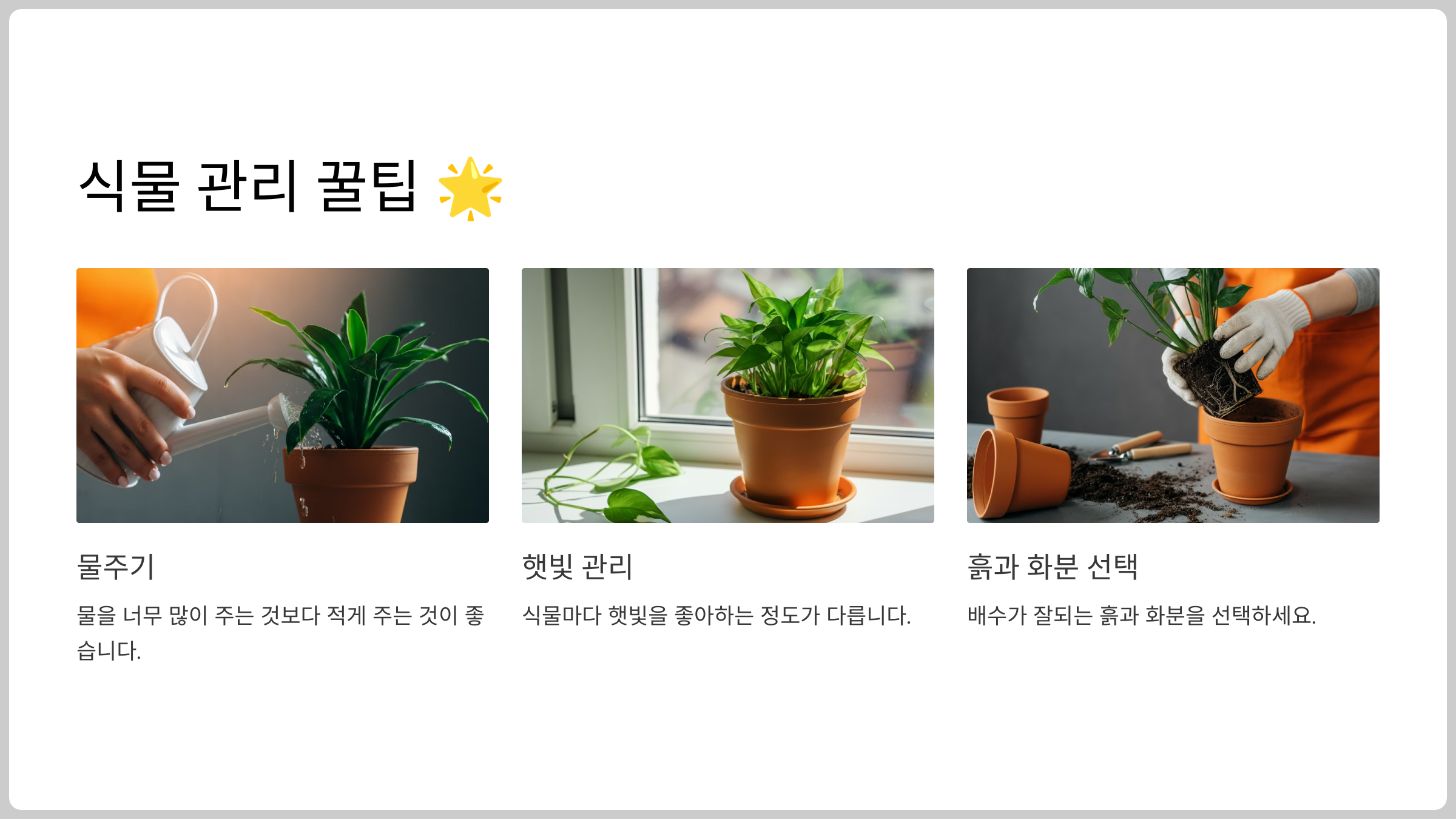 식물 관리 꿀팁